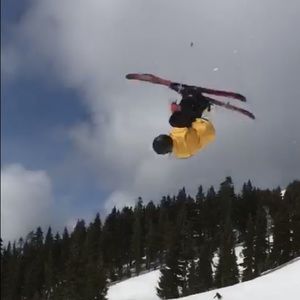 Meet your Posher, Gavin